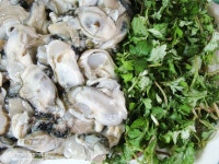 땅과 바다의 봄 맛, 쑥 굴전