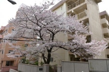 극스압2014년도여행기 오사카와 주변소도시 여행