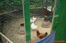 팜파티,팜웨딩 - 여주 지역 추천맛집 은아목장 후기