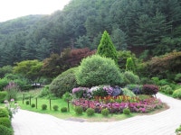 아침고요원예수목원 - 우리들의 이야기 - 낙성초등학교16회동문회 아침고요원예수목원