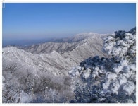 산수(山水) 산악회 | 겨울명산의 백미 상고대:덕유산,태백산,소백산,남덕유산,장수덕유산(서봉) - Daum 카페 겨울명산의 백미 상고대:덕유산... 