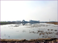 (신당제)바람따라 구름따라 647회 :: 토종붕어를 사랑하는 사람들