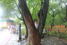 부산테마여행사