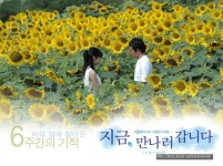 [지금, 만나러 갑니다]보다 눈물나는 영화 있으면 추천좀 ㅇㅇ - 영화 갤러리 [지금, 만나러 갑니다]보다 눈물나는 영화 있으면 추천좀 ㅇㅇ  - 영화... 