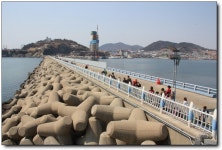 [여수] 동백아가씨가 되어 걸어본 오동도