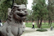 Re: 해태(해치)는...제 생각엔... 동북아에 실존했던 동물일지 싶습니다.... - 역사토론방(출처있는글) - 대륙 조선사 연구회 Re: 해태(해치)는...제... 