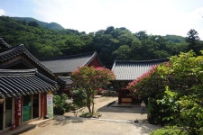 3대사찰 하나인 조계산 송광사 - ―····포토ノ풍경이미지 - 좋은 글과 좋은 음악이 있는 곳 3대사찰 하나인 조계산 송광사