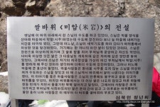 맛집 정보 검색 NO.1 사이트, 메뉴판닷컴 :: 맛집 정보가 가득