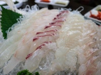 제주도 수산시장에서 묵은 회