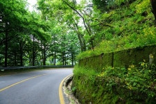 춘천여행/소양강댐 푸른 여명과 새소리로 시작한 아침 - 북한강길 자전거 여행 중에... - Dr. Sparks Columns