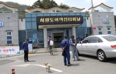 산약초랑 | 사량도 여객선터미널 시간표 / 통영 여객선터미널 시간표 / 욕지도 매물도 시간표 - Daum 카페 사량도 여객선터미널 시간표 / 통영... 