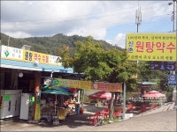 청송 탄산약수 신촌 원탕약수 & 안동 맘모스제과 땅콩쉐이크