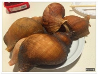 삼척 맛집 추천~가정식백반 전문점~옛집 - 강원/삼척 지역 추천맛집 옛집 후기