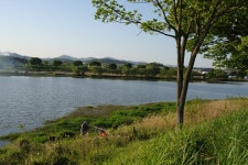 황룡강에서 성대표촬영현장모습... :: 토종붕어를 사랑하는 사람들