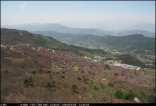 관광버스 타고 황매산 [링크된 사진 많음 주의] | 투데이스피피시 관광버스 타고 황매산 [링크된 사진 많음 주의] | 투데이스피시