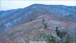 여행기 - 덕유산 종주(1) 덕유평전의 추억과 야생화