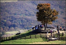 [사진] 이른 가을에 방문한 대관령 삼양목장 - DVDPrime