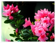 20번째 결혼기념일에 다시보는 성철스님의 주례사. - ━─‥좋은글♡감동글 - 평택시 명품 슈퍼오닝 ↔ 농·특산물 통합브랜드 20번째... 