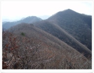 백두대간 - [낙동정맥6]<추령-윗삼승령>...낙동 최고의 오지능선을 따라