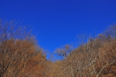 산행기 - 서리산자락 1박2일