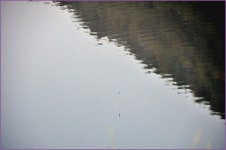 (지촌지)바람따라 구름따라 679회 :: 토종붕어를 사랑하는 사람들