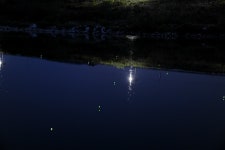 강원도원주에서...섬강줄기 :: 토종붕어를 사랑하는 사람들