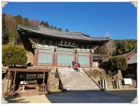 굴렁쇠사천역사생태체험단- 내고장 사천을 둘러보다. - 자유게시판 - 푸른우포사람들 굴렁쇠사천역사생태체험단- 내고장 사천을 둘러보다.