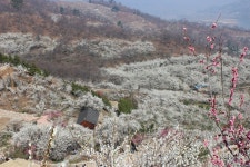 부산테마여행사