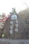 부산테마여행사