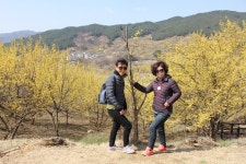 부산테마여행사