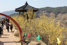 부산테마여행사