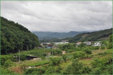 대경지부 5 월정출 이모저모 :: 토종붕어를 사랑하는 사람들