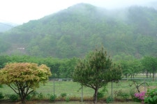 계절별 민박집 둘러보기(외부모습) - 민박 둘러보기 - 소똥령 예쁜 연못 집 계절별 민박집 둘러보기(외부모습)