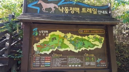 10월13일탐사 도일경로당 - 블랫재- 601고지- 죽장면 지동리- 자양면 도일리-도일교 - ┏취재 홍보━┛ - 영천시 경계탐사대 10월13일탐사... 