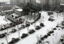 우리아파트 눈 풍경 - 카페 앨범 - 청라힐데스하임입주자모임 우리아파트 눈 풍경