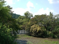 9/15밀양 위양못,영남알프스 얼음골 케이블카,호박소 - 람보 산행기 - 서울 예솔 산악회 9/15밀양 위양못,영남알프스 얼음골 케이블카,호박소