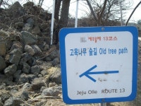 제주 올레 13코스 용수저수지에서 / 춤쟁이 - 춤쟁이 제주 올레길 - 댄스매니아들 제주 올레 13코스 용수저수지에서 / 춤쟁이