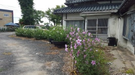 대전광역시 한밭수목원