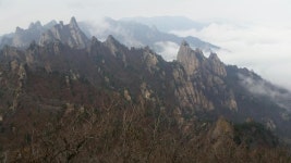 설악산 - 카페 앨범 - 산에사네sangbong 설악산
