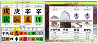 우리나라 사주팔자이야기 - 이야기 신농법 - 신농법 사주명리학 우리나라 사주팔자이야기