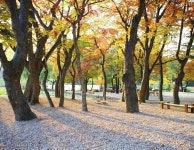 한여름 밤 영화음악과 함께 하는 이상루 고택음악회 2013년 7월 28일(일) / 8월 5일(월) 저녁8시 - 고택음악회 체험프로그램 - 안동고택체험... 