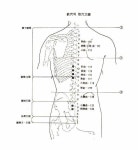 원인과 제니센 치유 방법 - ▣ 제니센 터치 치유상담 - 힐링 라이프 경추 6번 7번 목디스크로 인한 팔과 손저림의 원인과 제니센 치유 방법