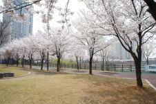 오송 하늘문교회 주변04 - 교회 앨범 - 오송하늘문교회 오송 하늘문교회 주변04