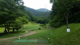 실외골프연습장매매 - 인도어연습장 매매 - 골프나인 파3+ 250 미터 비거리 60타석 유휴부지창고가능 .골프장매매.골프연습장매매.... 