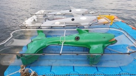 낚시, 통발, 투명카누, 고둥잡기 체험 - 어촌 체험 - 포항민박 SEA & BLUE 씨엔블루 낚시, 통발, 투명카누, 고둥잡기 체험