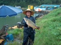 미끼의 점성과 입질의 연관성 - 미끼에 관한 이론 - 화도낚시공원 꺽대채비 미끼의 점성과 입질의 연관성