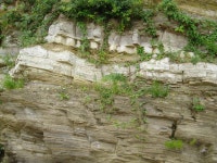 李珥詩 種菊 - 한시(시집) 연재 게시판 - 심재 서예연구원 李珥詩 種菊