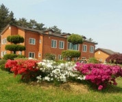 어르신의 생활터 효도의집 - 사진 - 함께하는공동체. 함께재가. 어르신의 생활터 효도의집