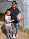 17일 버섯&딸기체험 - 농장사진 & 주변경치 - 햇살농장&민박 (010-7273-4550) 17일 버섯&딸기체험