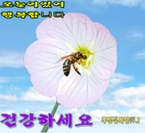 좋은하루 - 우리들의 이야기 - 다음후정카페 좋은하루